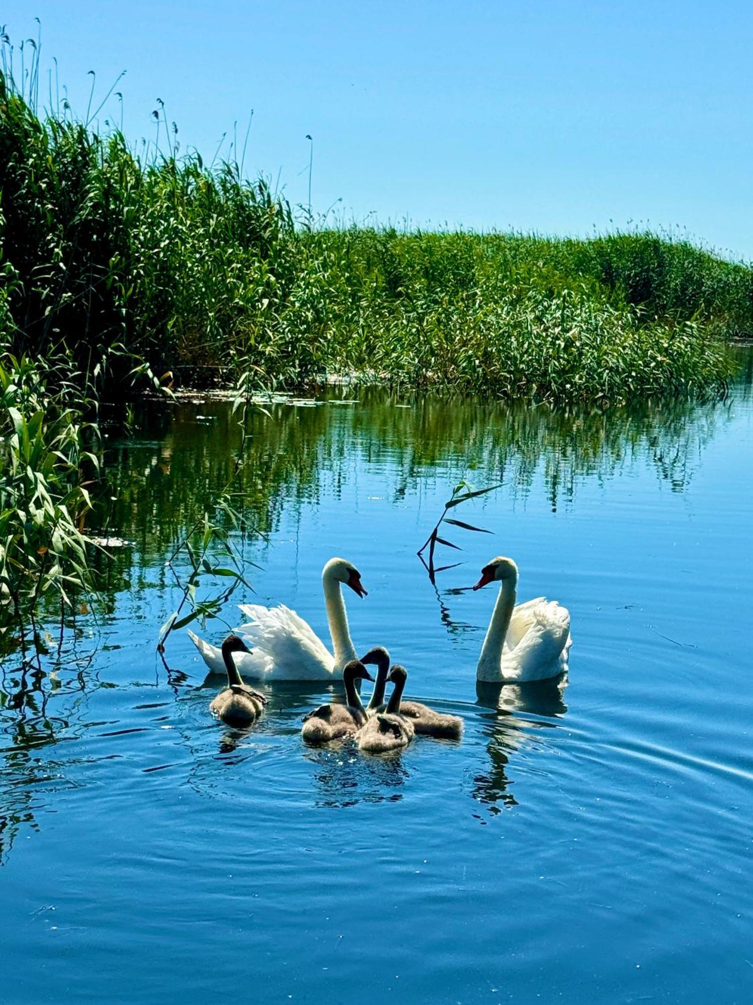 Hotel Danube Delta View Dunavăţu de Jos Exterior foto
